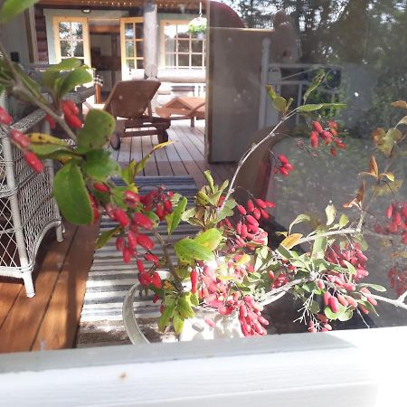 Paehkli Seaside Cottage With Cozy Outdoor Patio Koiguste 외부 사진