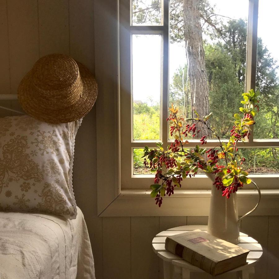 Paehkli Seaside Cottage With Cozy Outdoor Patio Koiguste 외부 사진