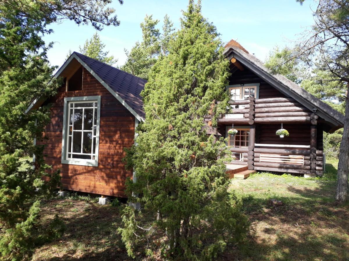 Paehkli Seaside Cottage With Cozy Outdoor Patio Koiguste 외부 사진