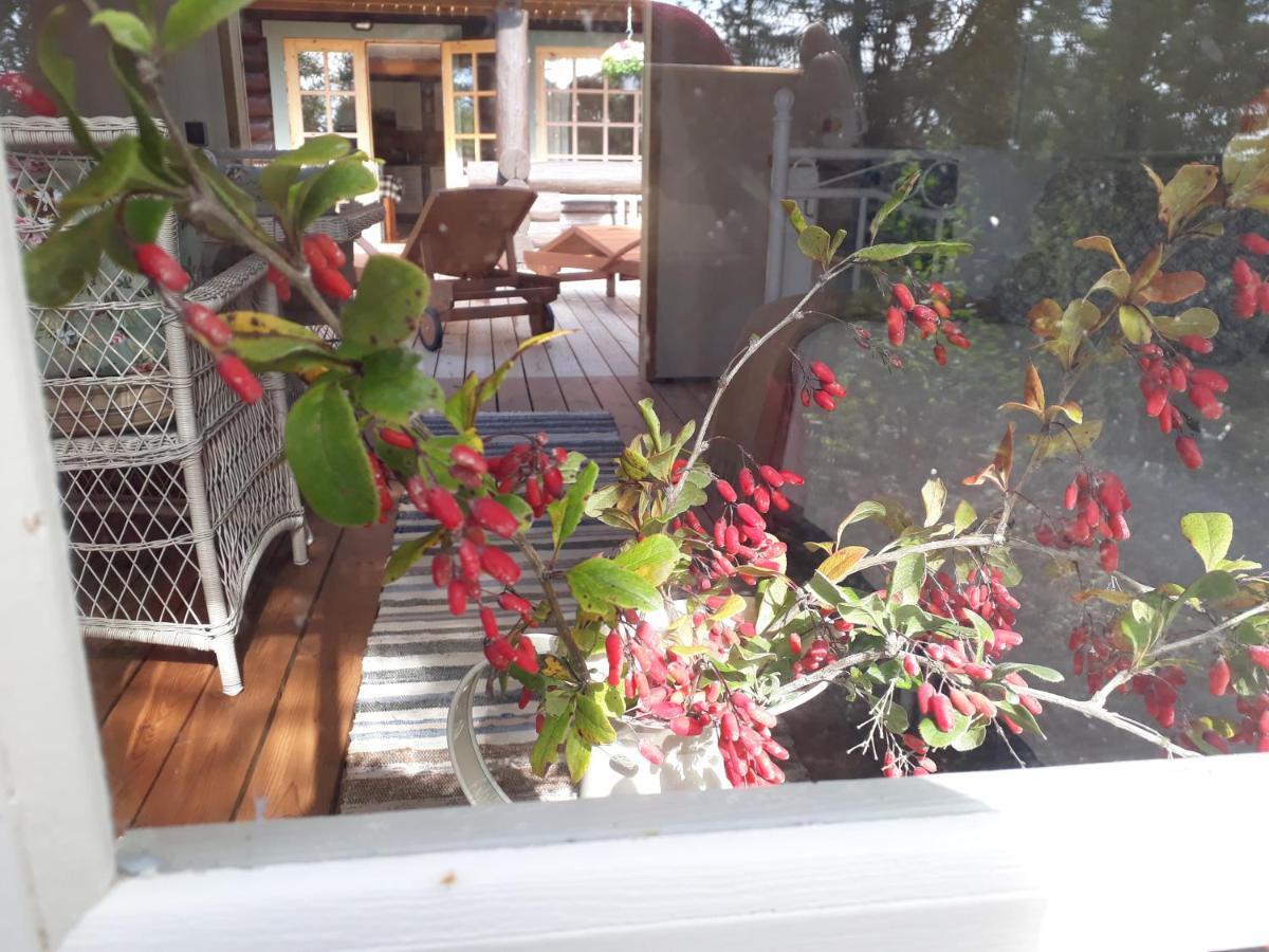Paehkli Seaside Cottage With Cozy Outdoor Patio Koiguste 외부 사진